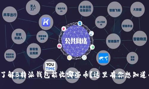 想了解B特派钱包能收哪些币？这里有你想知道的！