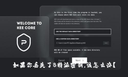 如果你丢失了B特派密钥，该怎么办？
