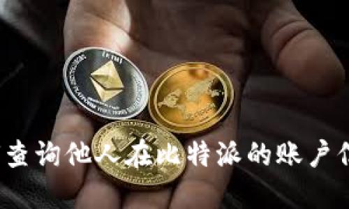 如何查询他人在比特派的账户信息？