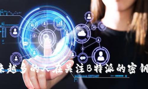 为什么越来越多的人在关注B特派的密钥安全问题？