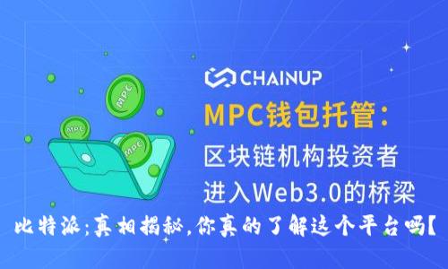 比特派：真相揭秘，你真的了解这个平台吗？