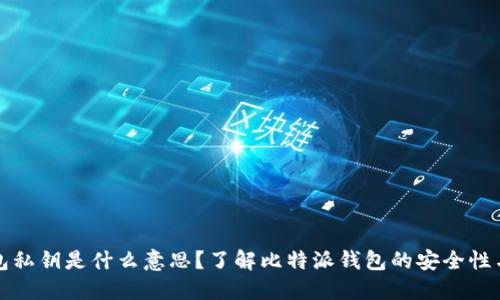 比特派钱包私钥是什么意思？了解比特派钱包的安全性与使用技巧