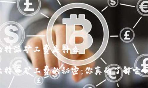 比特派矿工费是什么

比特币矿工费的秘密：你真的了解它吗？