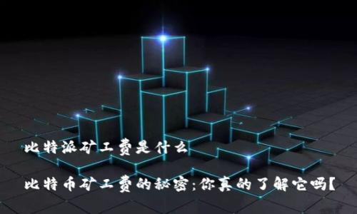 比特派矿工费是什么

比特币矿工费的秘密：你真的了解它吗？