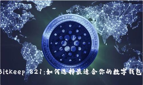 BitKeep 821：如何选择最适合你的数字钱包？