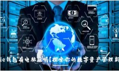 Bitpie钱包有电脑版吗？探索你的数字资产管理新