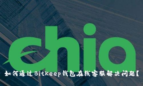 如何通过BitKeep钱包在线客服解决问题？