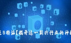 什么是B特派？揭开这一新兴行业的神秘面纱