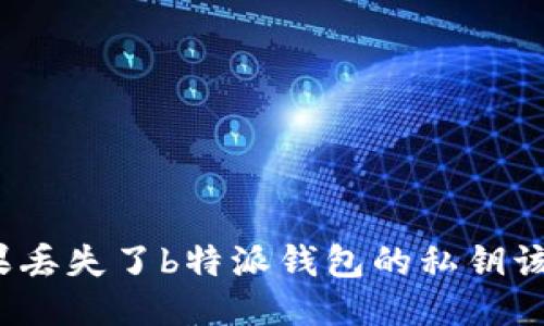 你知道如果丢失了b特派钱包的私钥该怎么办吗？