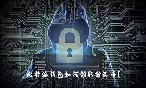 比特派钱包如何领取分叉币？
