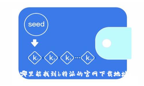 在哪里能找到b特派的官网下载地址？