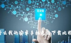 为什么我的安卓手机无法下载比特派？