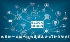 比特派一直没网络的原因是什么？如何解决？