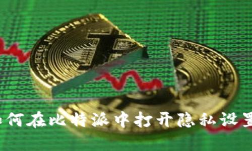 如何在比特派中打开隐私设置？