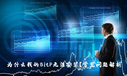 为什么我的BitP无法安装？常见问题解析