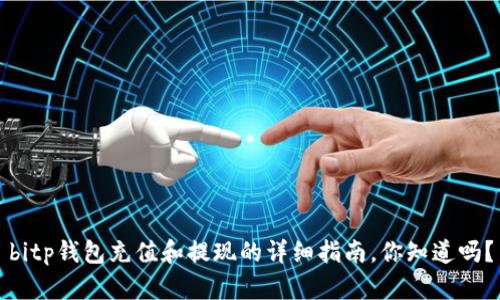 bitp钱包充值和提现的详细指南，你知道吗？