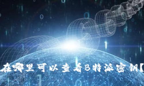 在哪里可以查看B特派密钥？