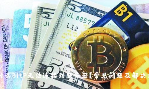 为什么BitP无法连接到服务器？常见问题及解决方法