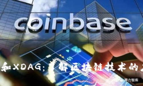 全面解析B特派和XDAG：了解区块链技术的应用与发展趋势