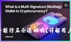  比特派余额修正会退回吗？详解用户常见疑问