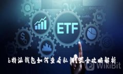 b特派钱包如何查看私钥？最全攻略解析