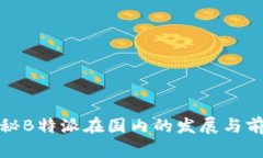 揭秘B特派在国内的发展与前景