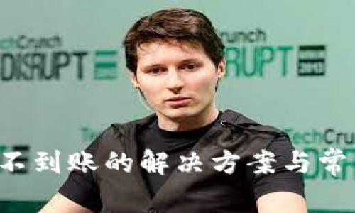 b特派钱包不到账的解决方案与常见问题解析