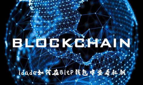 idade如何在BitP钱包中查看私钥