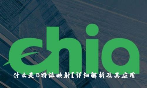 什么是B特派映射？详细解析及其应用