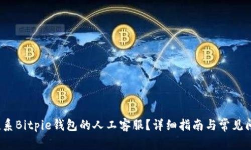  如何联系Bitpie钱包的人工客服？详细指南与常见问题解答