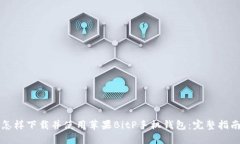 怎样下载并使用苹果BitP手机钱包：完整指南