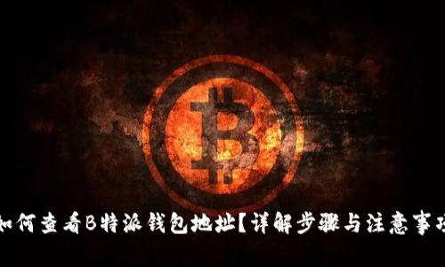 如何查看B特派钱包地址？详解步骤与注意事项