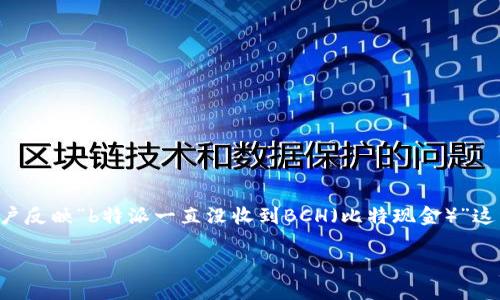 特派是一个有关加密货币的服务平台，用户在上面可以进行各种数字资产的存储和交易。在这个平台上，有用户反映“b特派一直没收到BCH（比特现金）”这种情况，可能会对他们的交易和资产管理造成困扰。接下来，我们将详细介绍这一问题的可能原因及解决方法。

如何解决b特派未收到BCH的问题