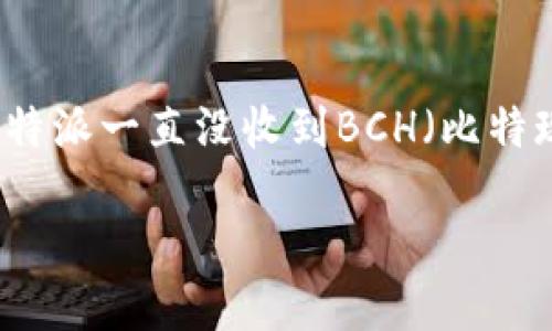 特派是一个有关加密货币的服务平台，用户在上面可以进行各种数字资产的存储和交易。在这个平台上，有用户反映“b特派一直没收到BCH（比特现金）”这种情况，可能会对他们的交易和资产管理造成困扰。接下来，我们将详细介绍这一问题的可能原因及解决方法。

如何解决b特派未收到BCH的问题