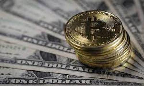 

“b特派与比太的区别：全面解析两者优势与适用场景”