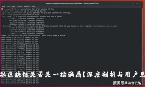 金融区块链是否是一场骗局？深度剖析与用户见解