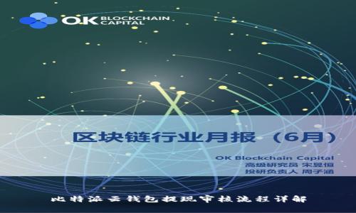比特派云钱包提现审核流程详解