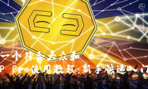 思考一个符合大众和  
 BitP Pro使用教程：新手快速入门指南