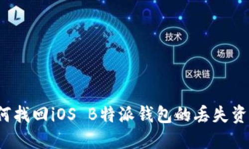 如何找回iOS B特派钱包的丢失资产？