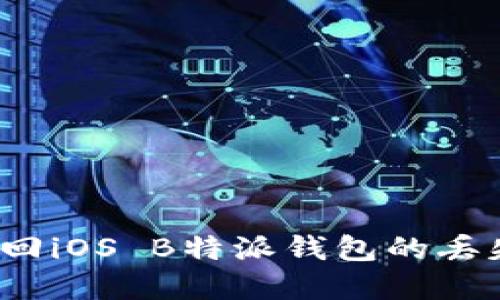 如何找回iOS B特派钱包的丢失资产？