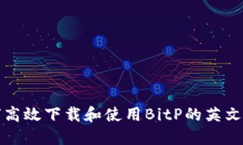 如何高效下载和使用BitP的英文版本