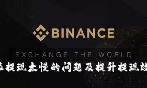 如何解决B特派提现太慢的问题及提升提现效率的有效方法