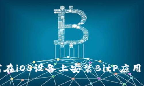 如何在iOS设备上安装BitP应用程序