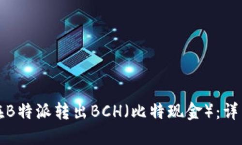 如何在B特派转出BCH（比特现金）：详细教程