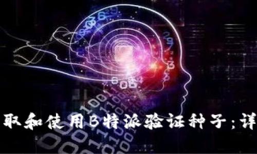 如何获取和使用B特派验证种子：详细指南