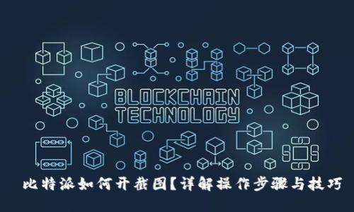  比特派如何开截图？详解操作步骤与技巧