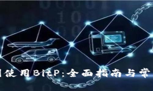 如何在中国使用BitP：全面指南与常见问题解答