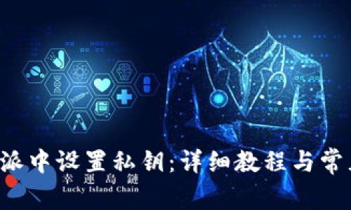 如何在B特派中设置私钥：详细教程与常见问题解答