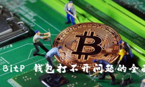 解决 BitP 钱包打不开问题的全面指南