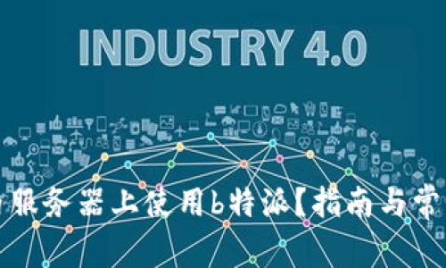 如何在国内服务器上使用b特派？指南与常见问题解答